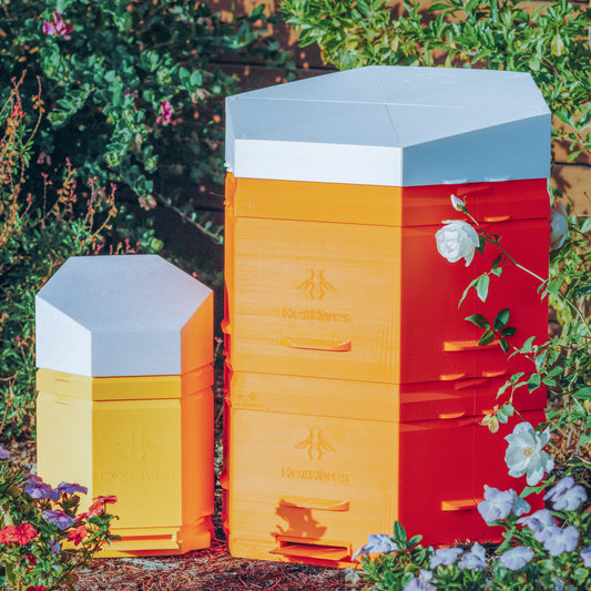 🐝 Limited Time Launch Sale! - NEW! Hex Hives  Mega - STLs 🍁